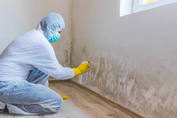 Licensed Mold Testing service in Rancocas, NJ - WQB Mold Removal