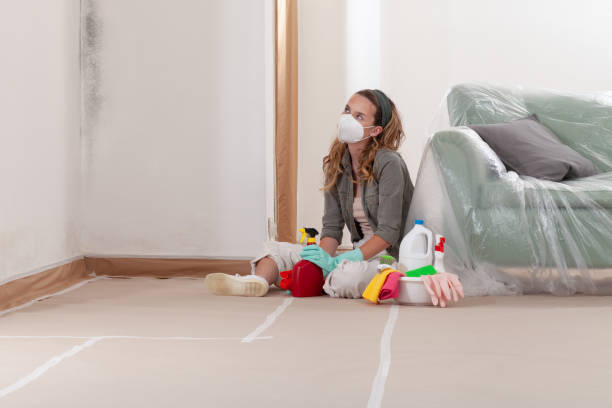 Reliable Mold Testing contractor in Rancocas, NJ by WQB Mold Removal
